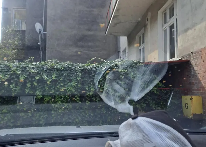 Tylko - 200m Do Plazy, Mariana Mokwy 4a * Sopot